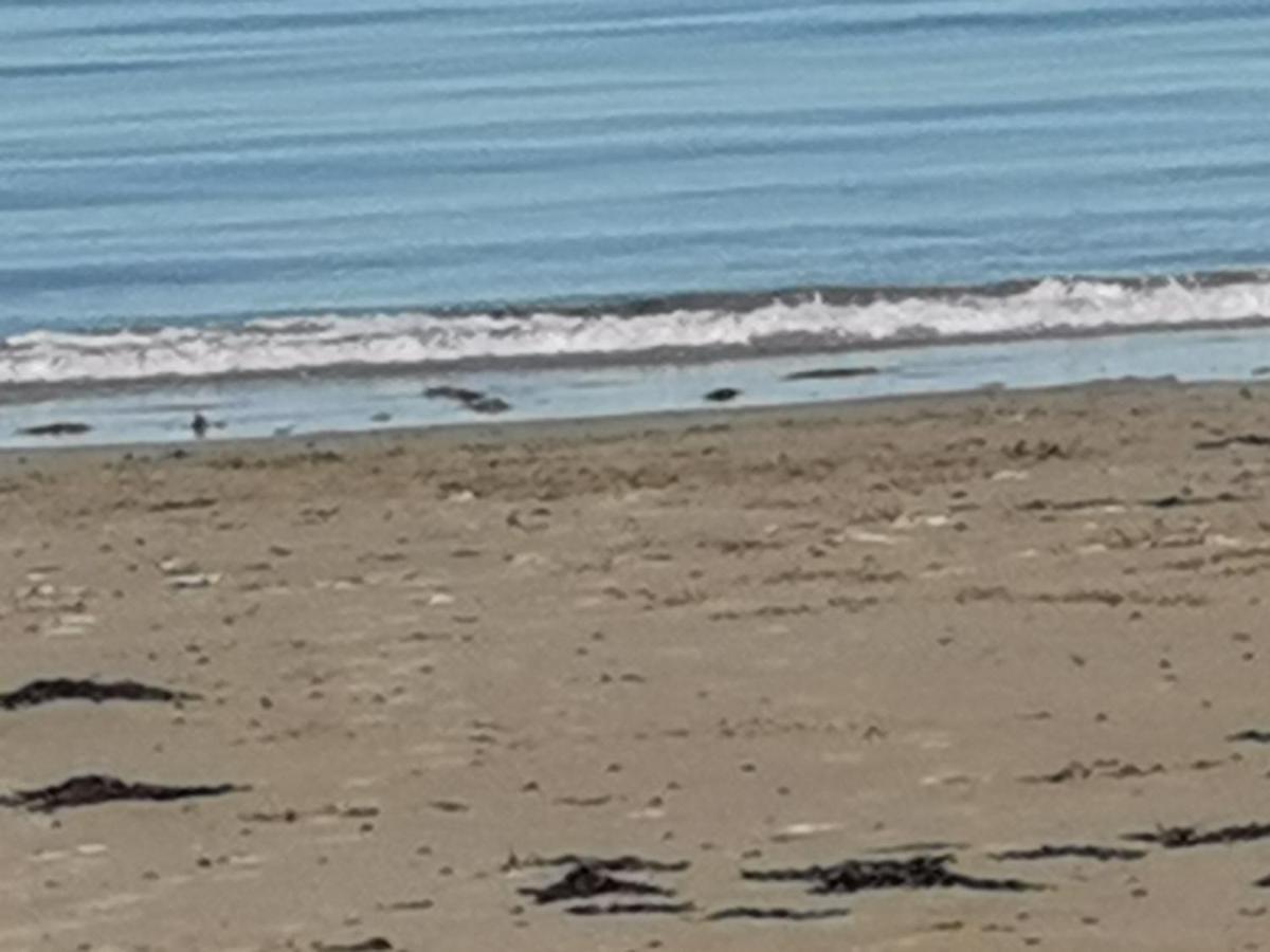 Snowdonia Sunbeach Holiday Sea And Mountain View Llwyngwril Bagian luar foto
